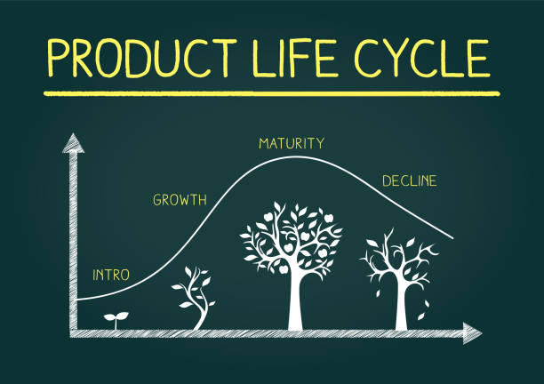 stages of product life cycle